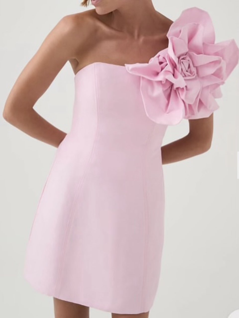 AJE Pink Floral Dress