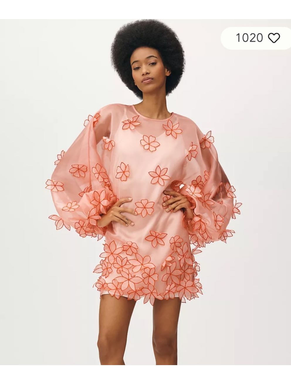 3D Floral Mini Dress