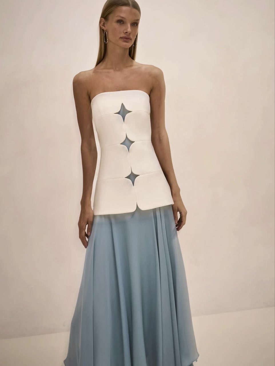 Maticevski Stellar Strapless Cutout Top