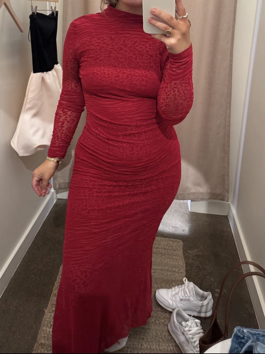 Red, Sheer, Animal Print, Maxi Dress