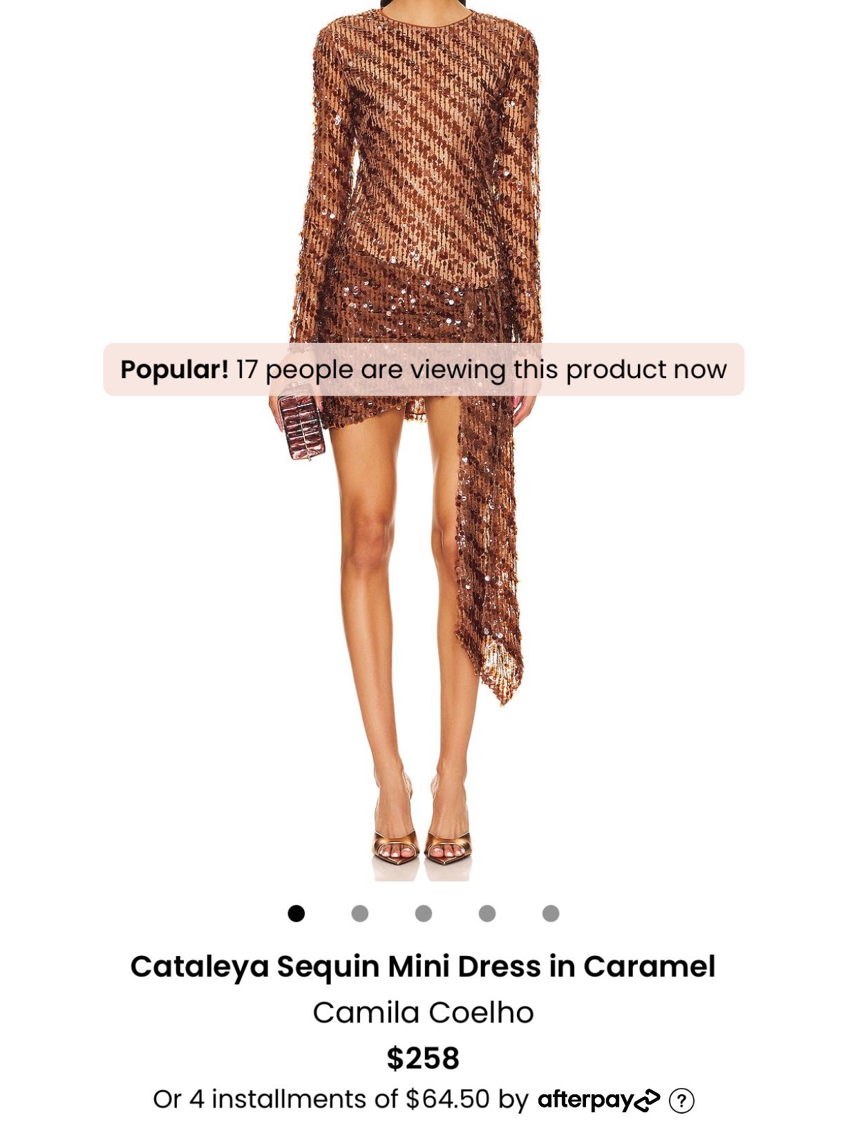 Revole Brown Mini Dress