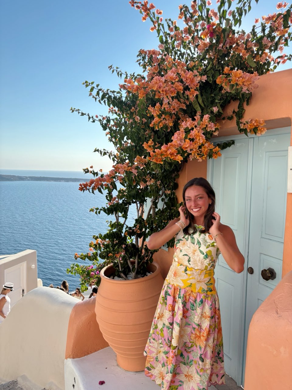 Farm Rio dress