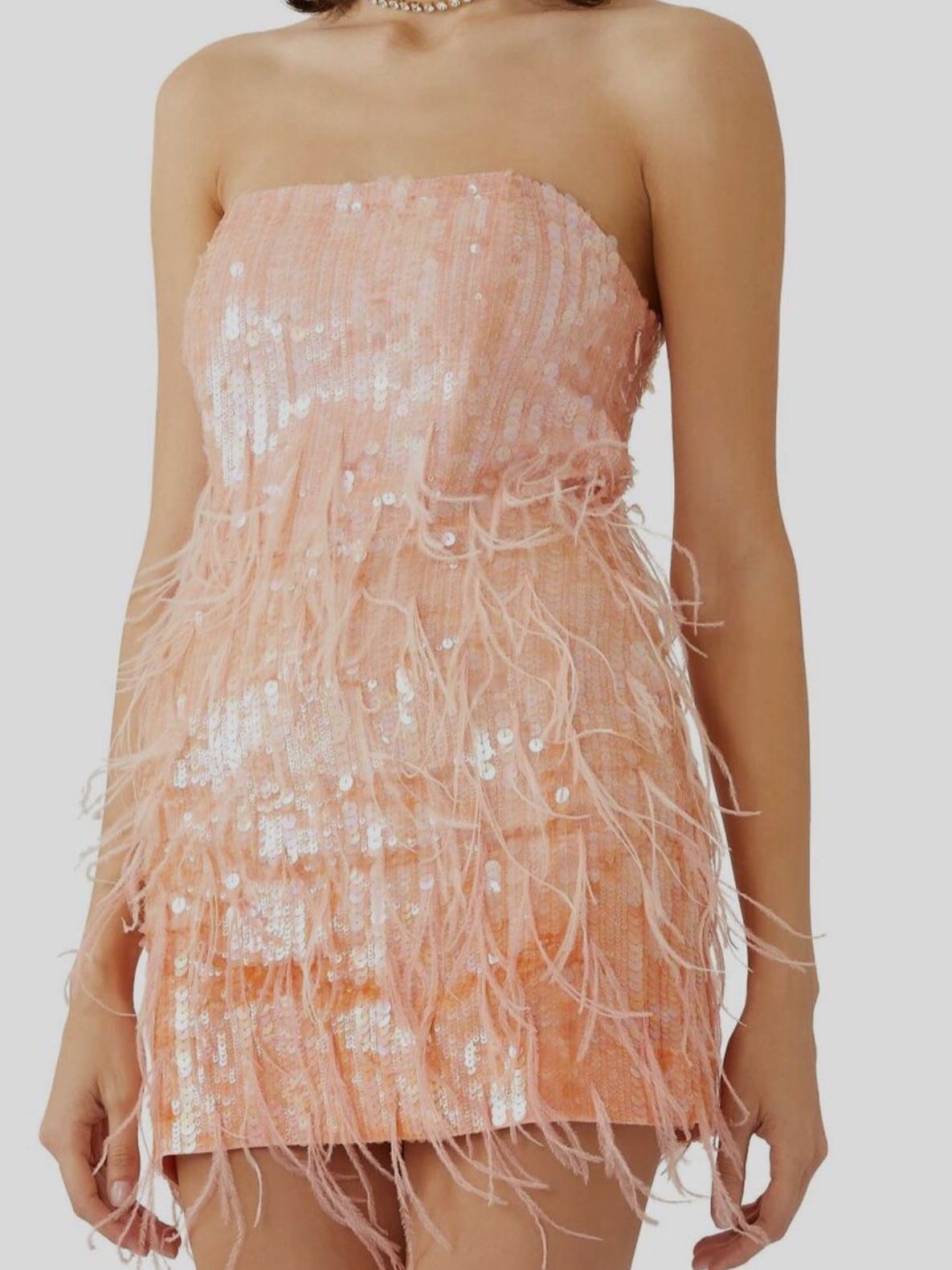 Anastasia Feather Mini Dress