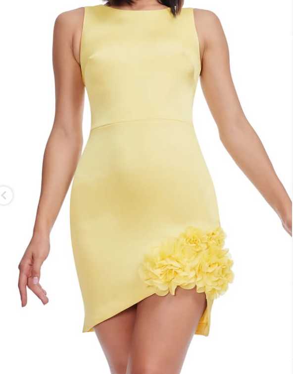 Yellow Floral Applique Mini Dress