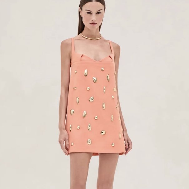 Alexis Larsen Dress