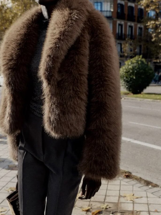 Brown Faux Fur Cropped Jacket