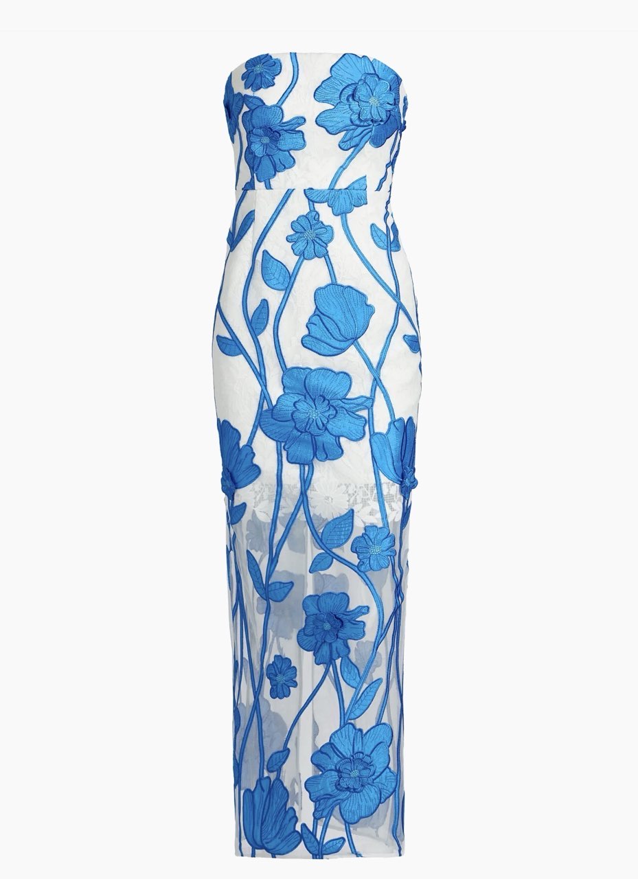White and Blue Floral Embroidered Strapless Maxi Dress
