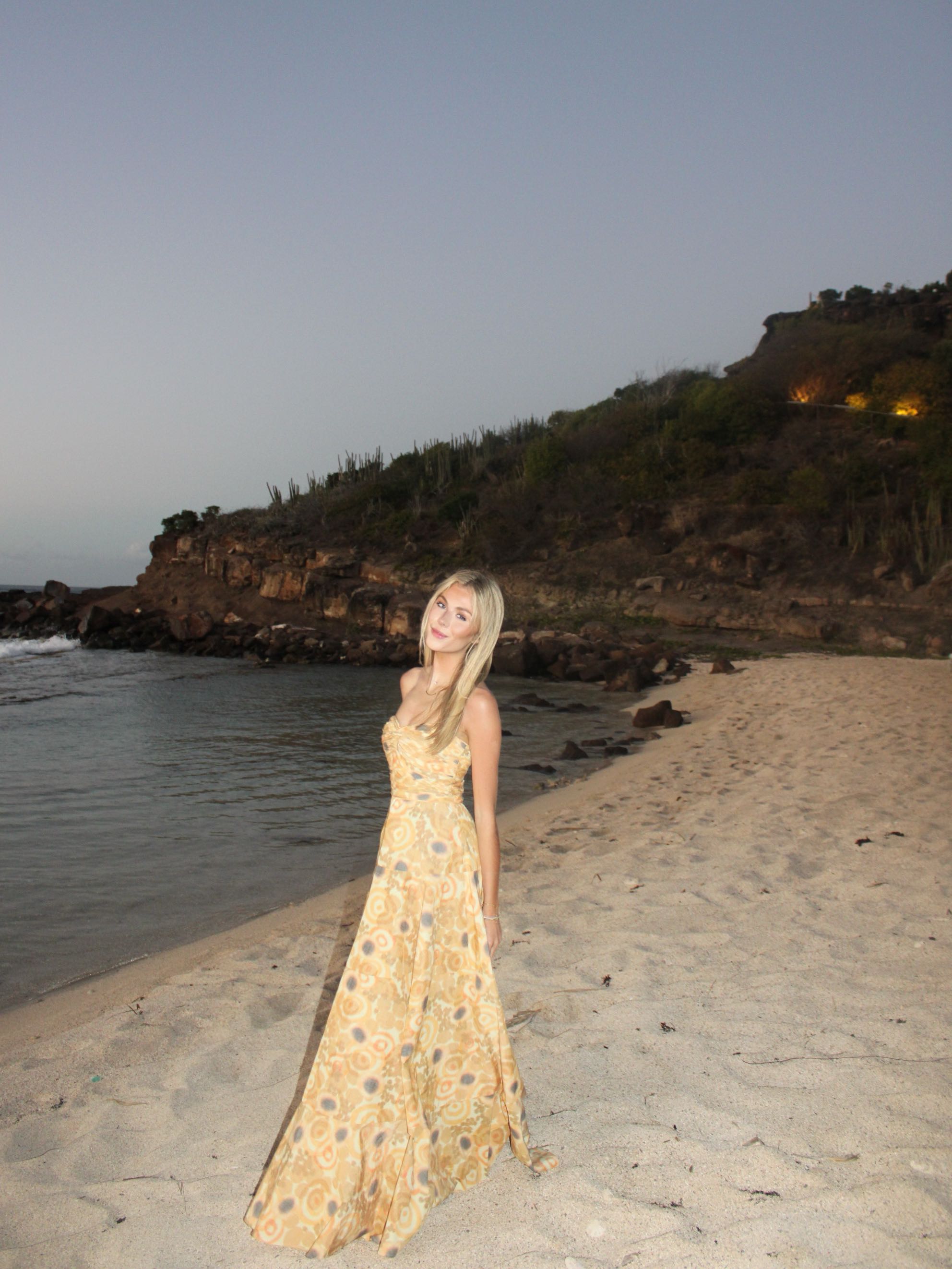 Alexis Imilia gown