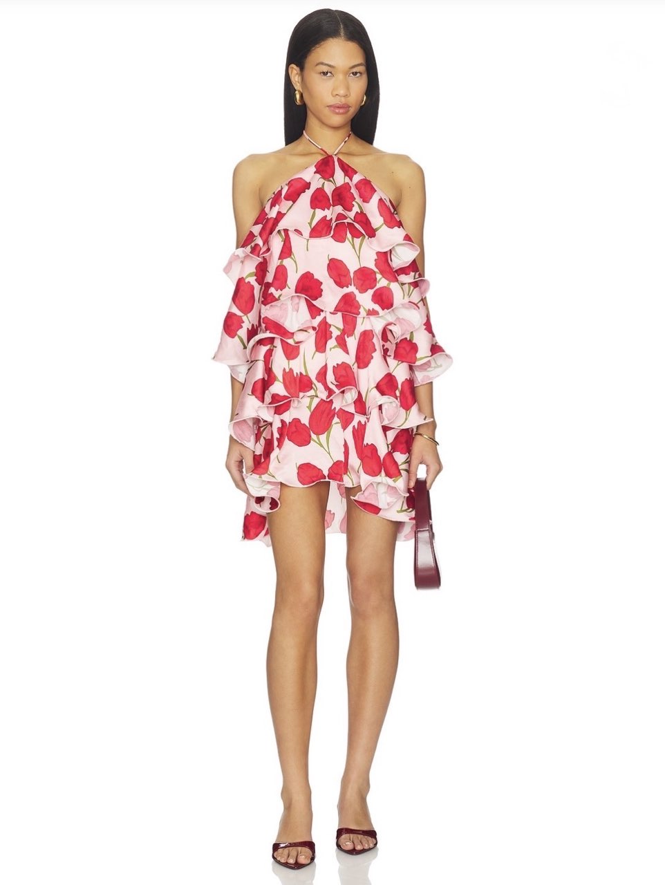 Elliat Amelia Mini Dress Pink and Red Floral