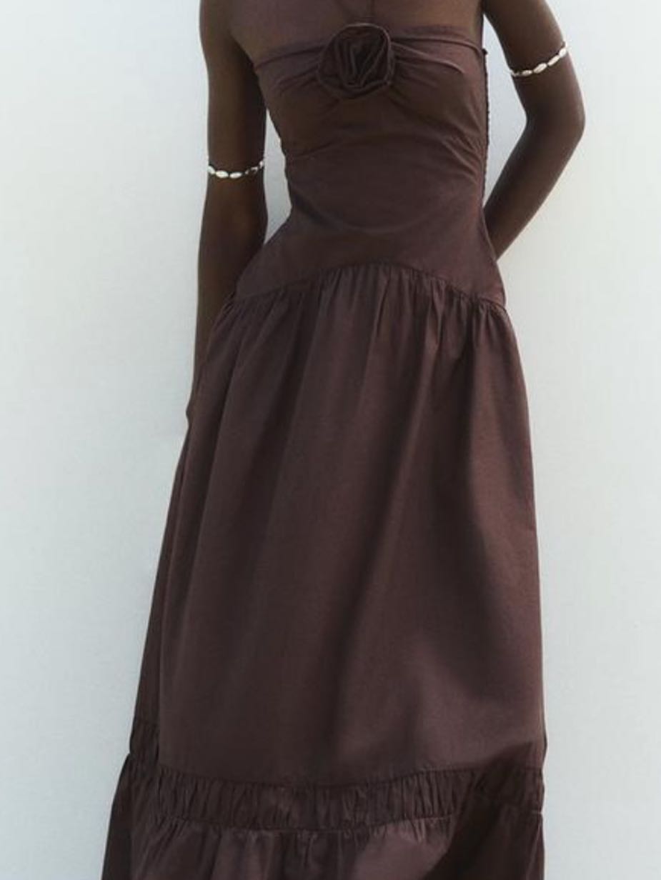 Zara Brown Maxi Dress