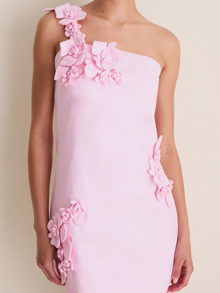 Hyacinth House mini dress