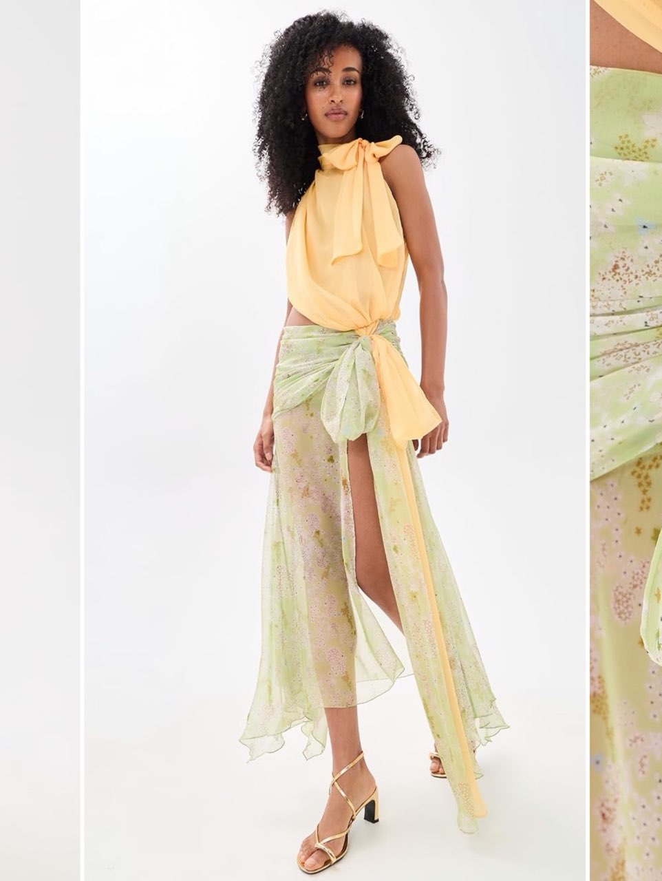 Sheer Floral Maxi Skirt and Tie-Neck Crop Top Set