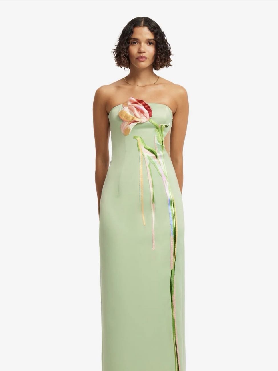 Strapless Floral Embroidered Midi Dress