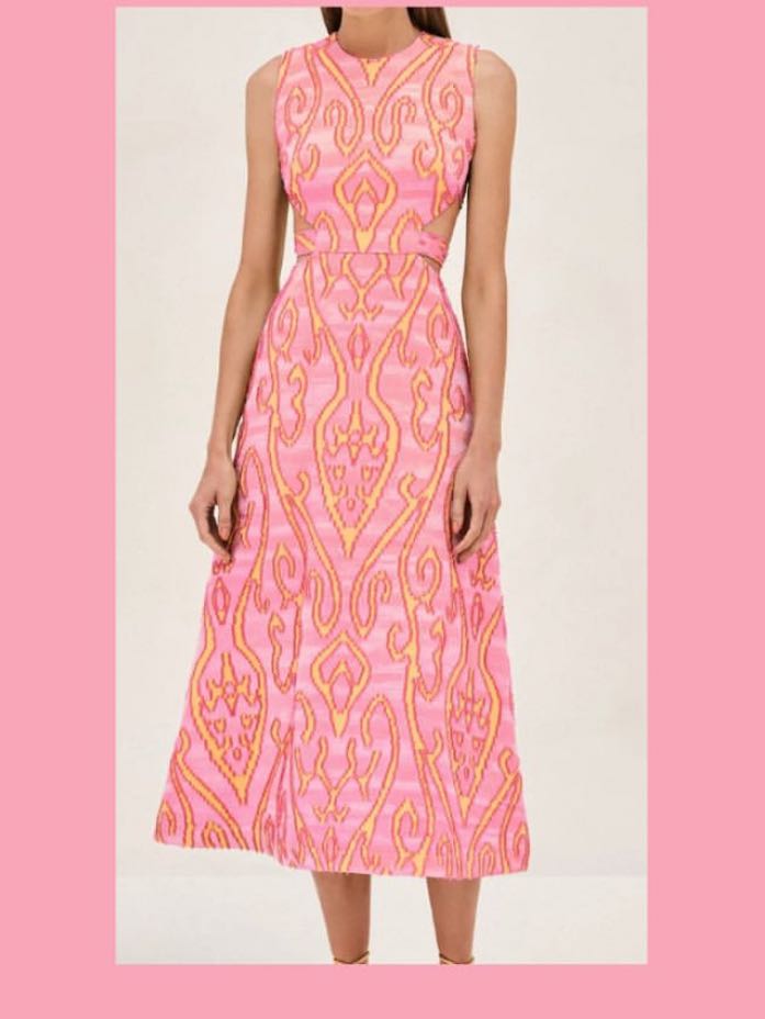 Alexis Silvio Dress