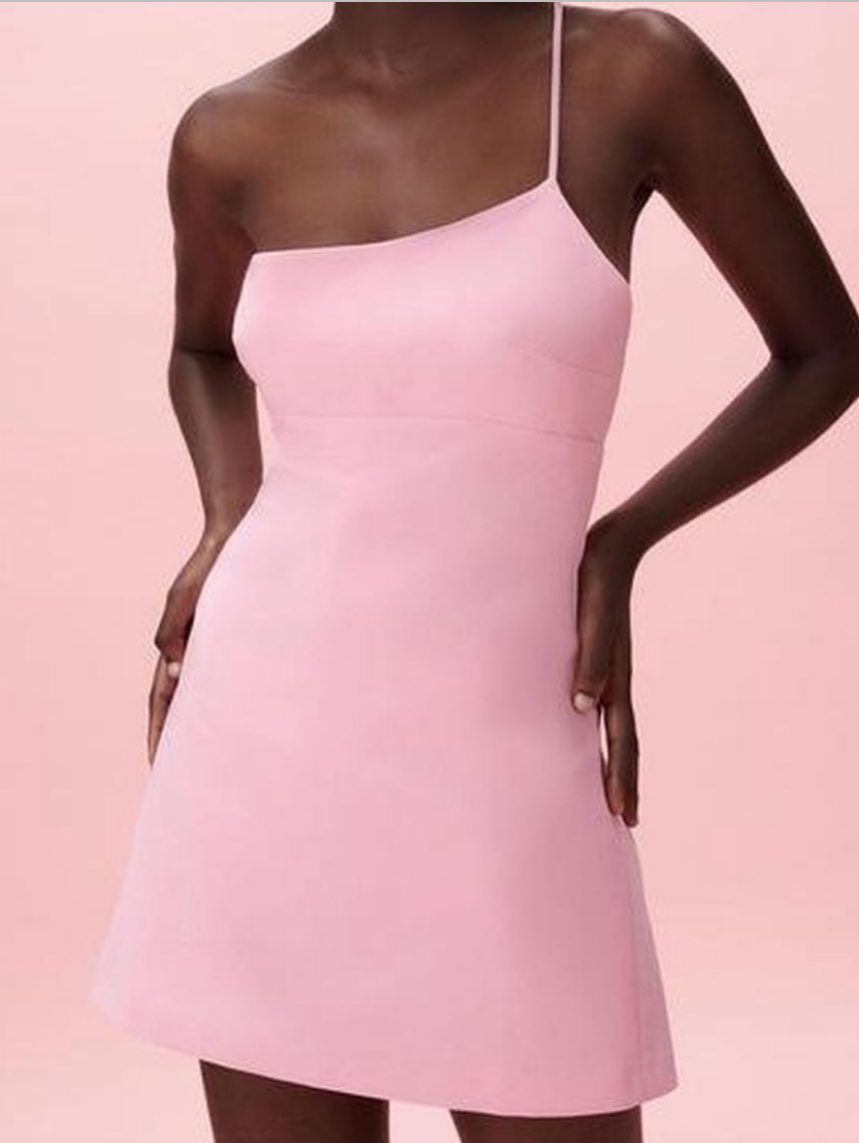 Zara Pink Mini Dress