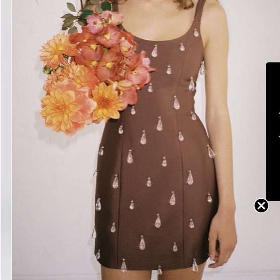 The wolf gang mini dress!!