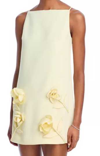 Pale Yellow Floral Applique Mini Dress