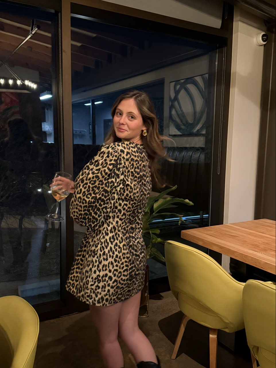 Leopard Print Mini Dress