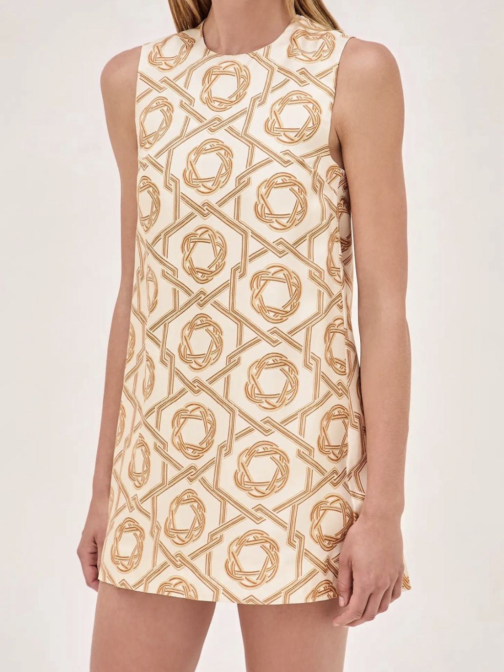 Alexis Anicka mini dress