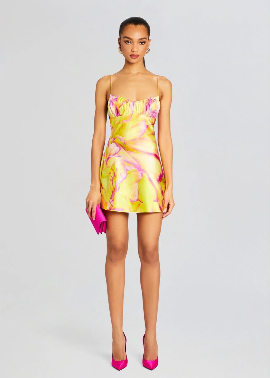 Retrofete Eden Silk Dress