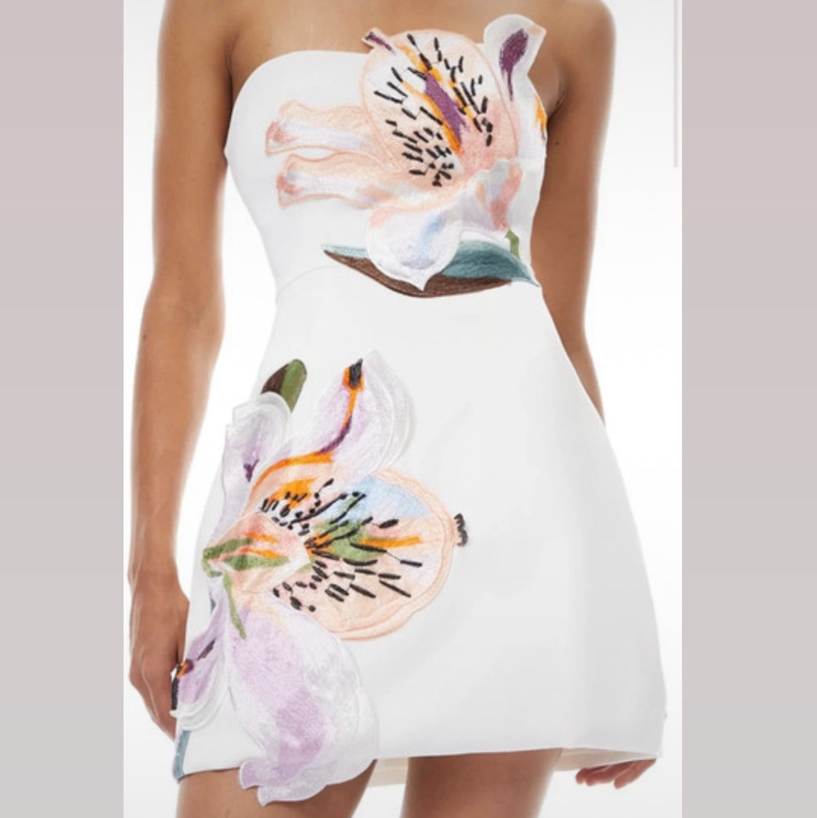 miss rosier White Strapless Mini Dress with 3D Floral Appliques