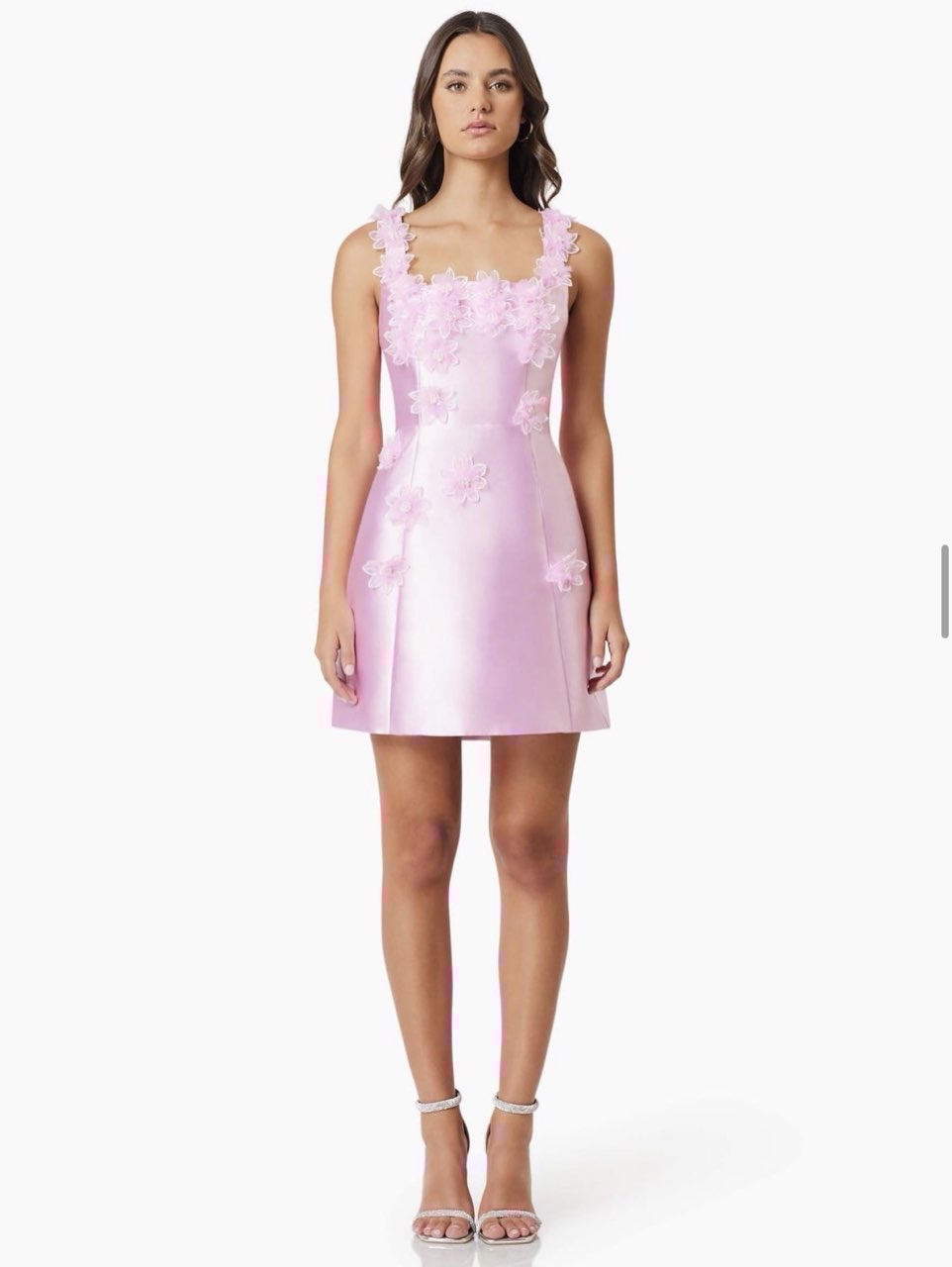 Edler Floral Decal Appliqué Mini Dress