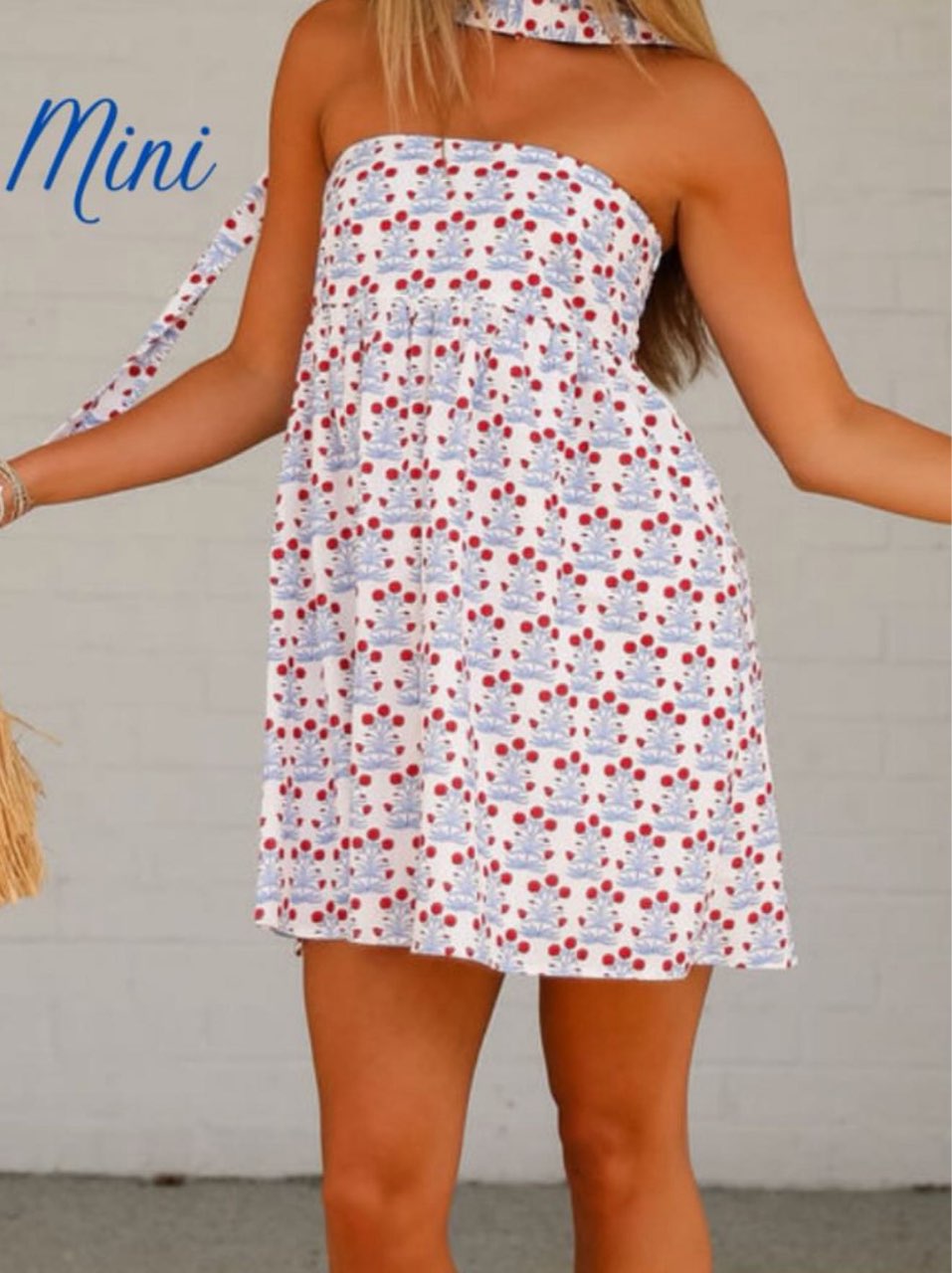 Coco Lilly’s Red, White, and Blue Dress