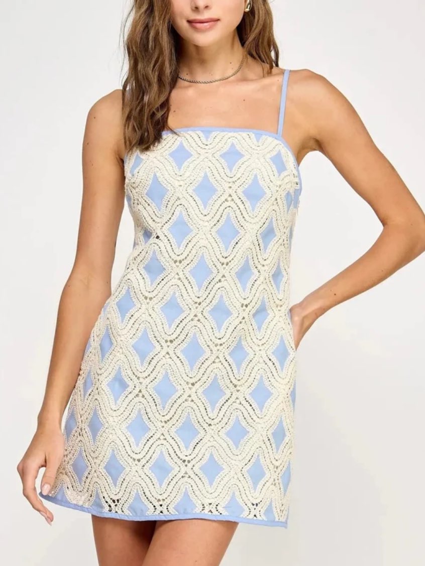 Crochet Overlay Mini Dress