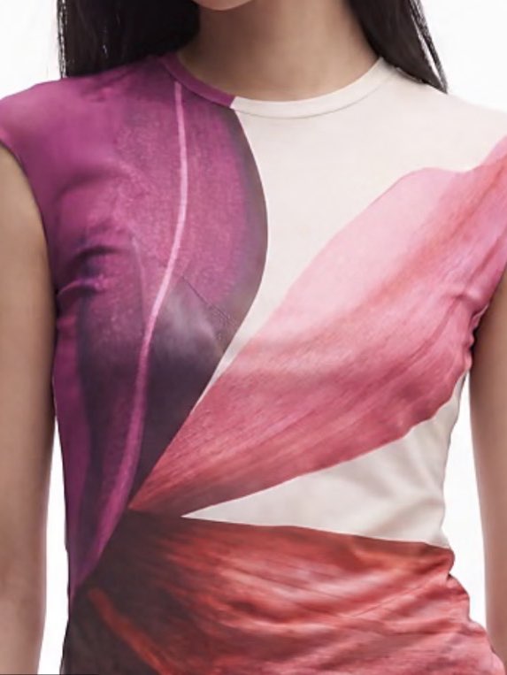 Abstract MESH Floral Cap-Sleeve Top