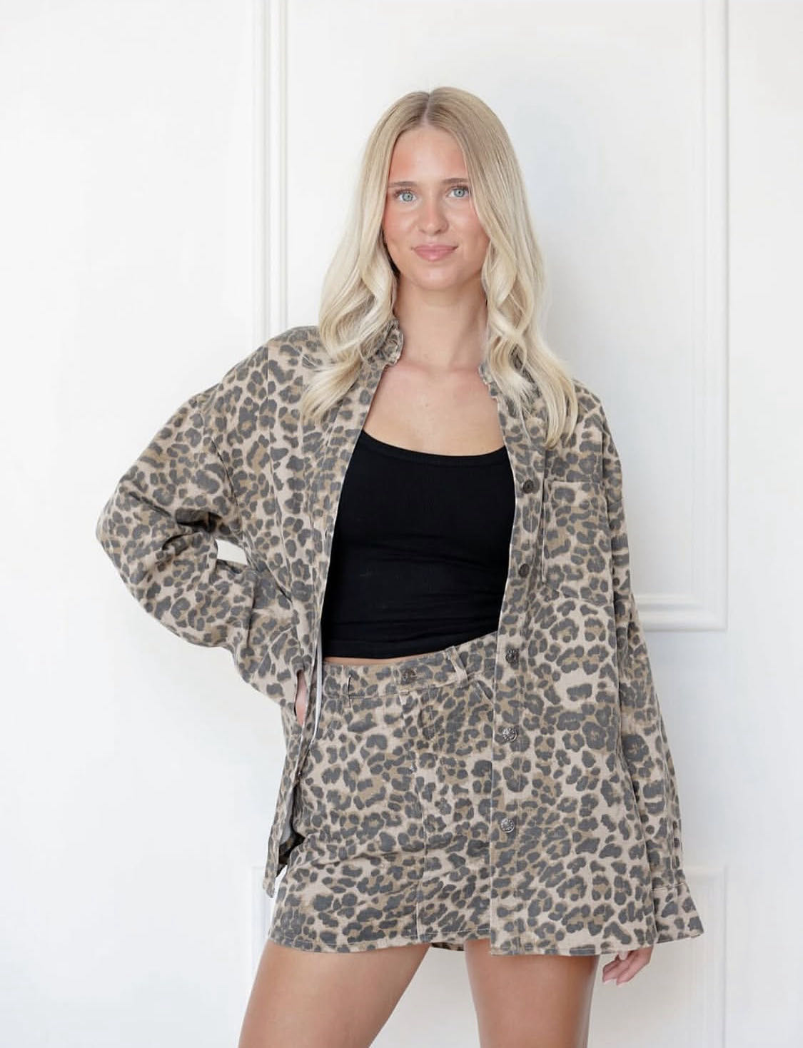 Cheetah set