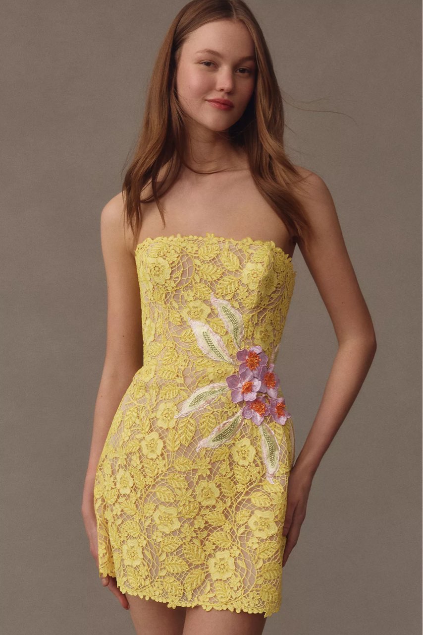 Elena Floral Lace Strapless Minidress
