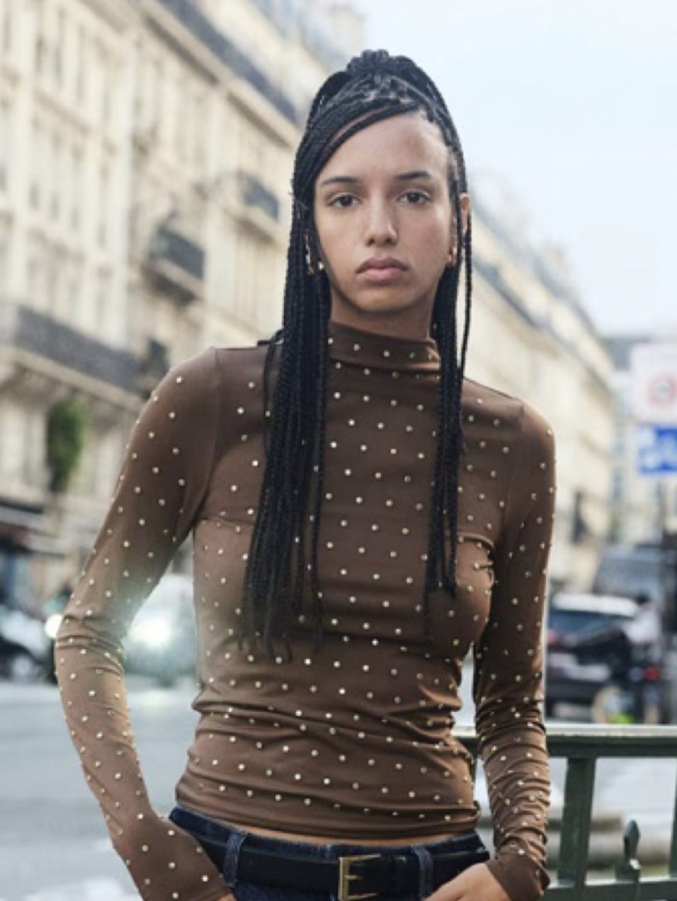 Brown Studded Mesh Top