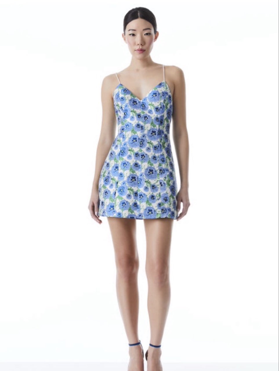 Alice & Olivia Dress