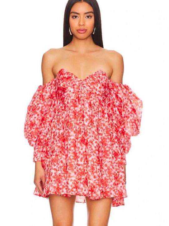 For Love & Lemons Red Floral Dress