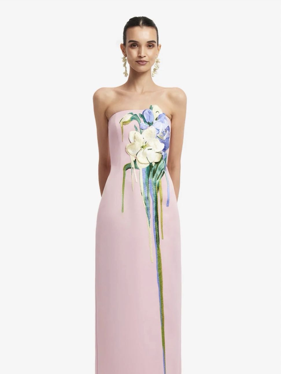 Strapless Floral Embroidered Gown