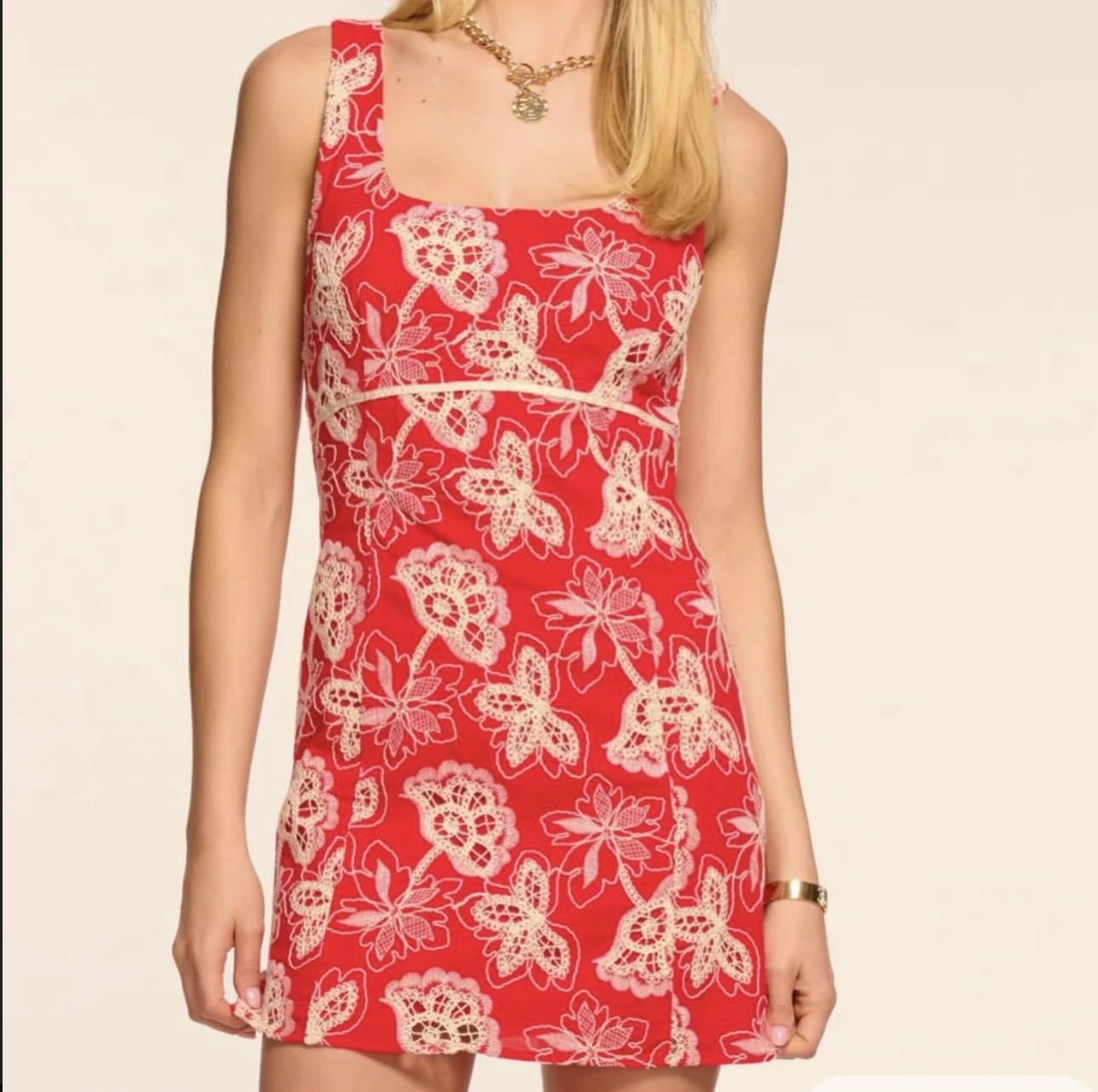 Ramy Brook Amalia Embroidered Mini Dress