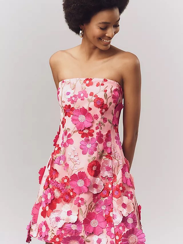 Endless rose floral embroidered mini dress