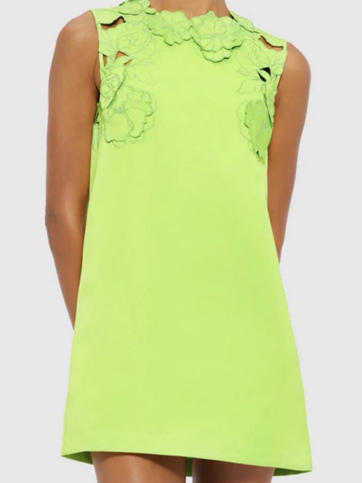 Leo Lin mini dress