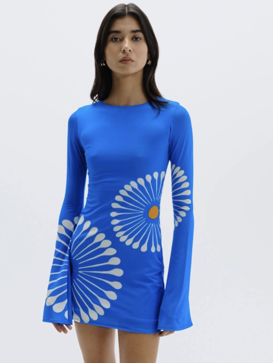 Blue Floral Long Sleeve Mini Dress