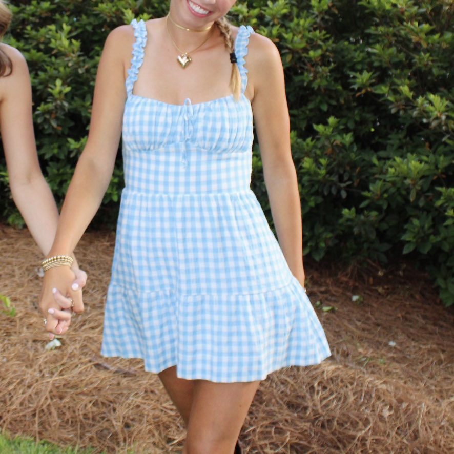 Show me your mumu Mini blue plaid dress