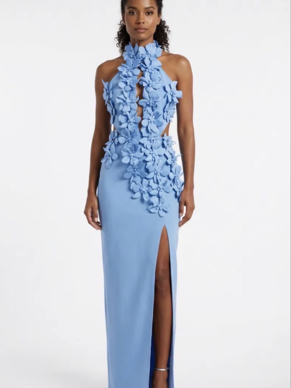 Innovare Blue Floral Appliqué Dress