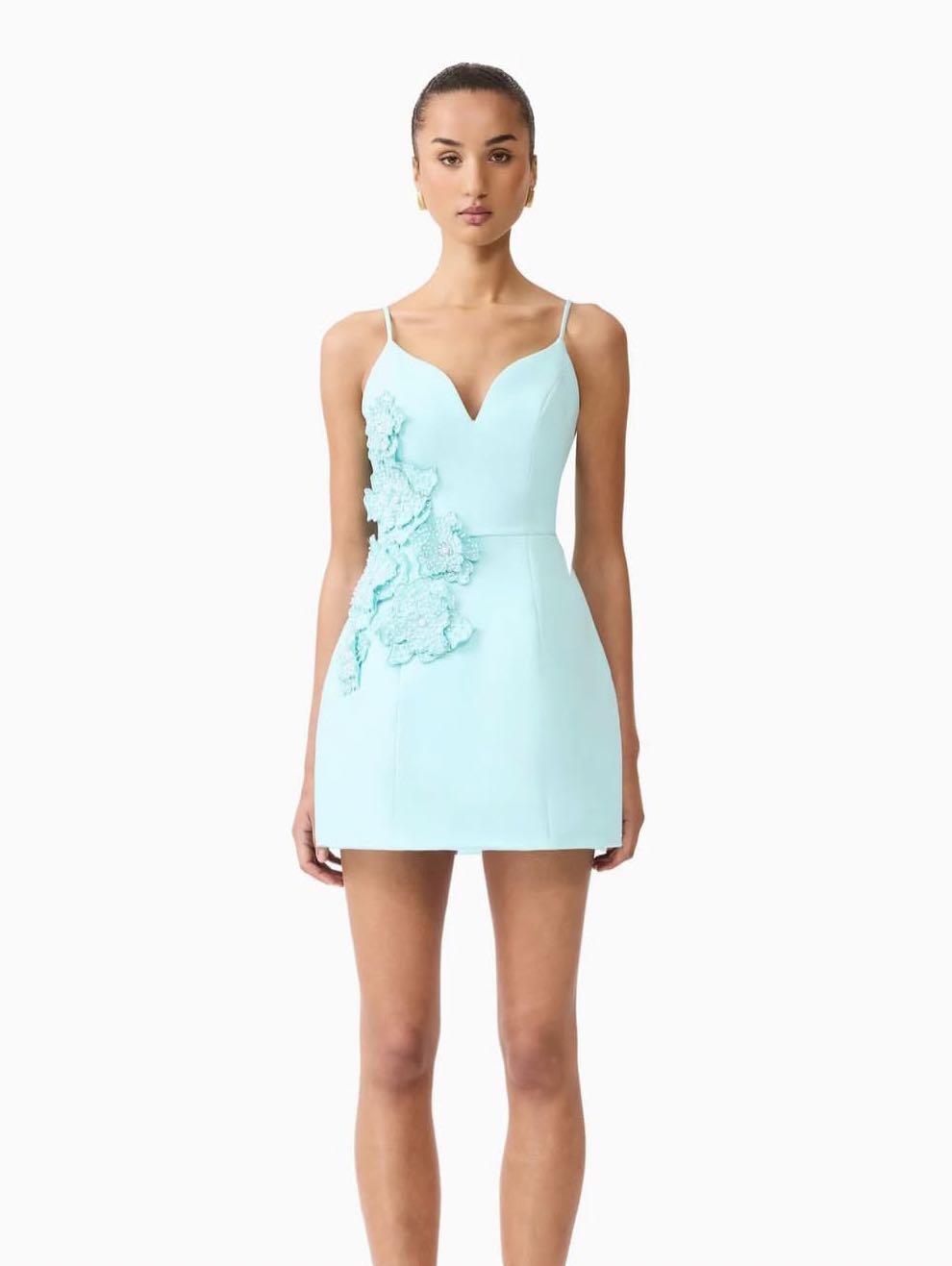 Light Blue Floral Applique Mini Dress