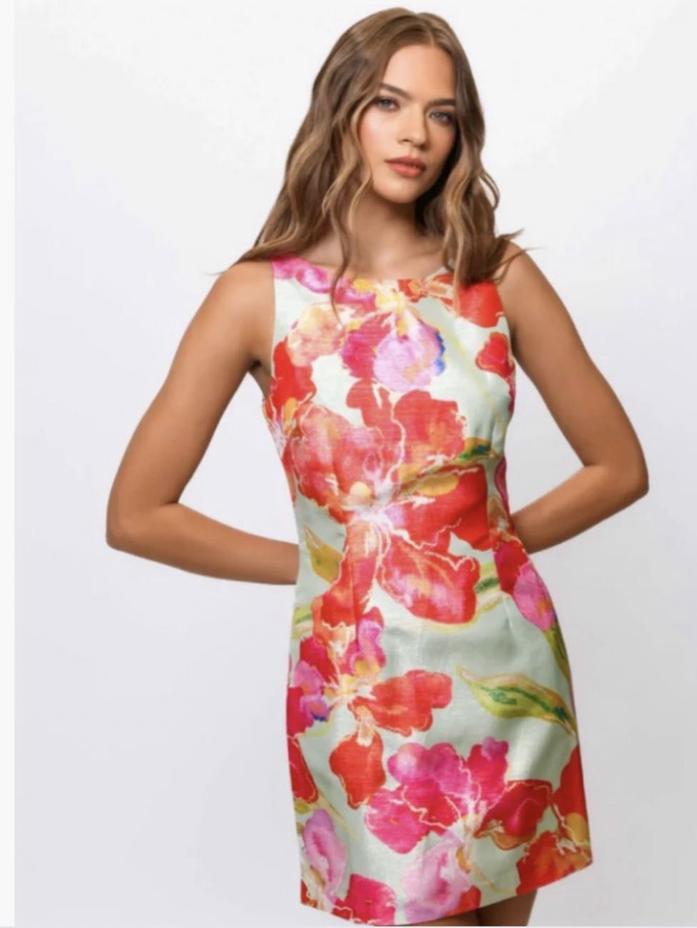 Floral Sleeveless Mini Dress