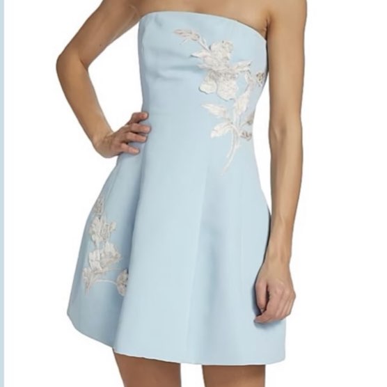 Sachin & Babi Blue and white floral mini dress