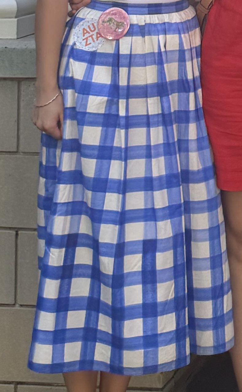 Zara Collection Blue and White Gingham Pleated A-Line Midi Skirt