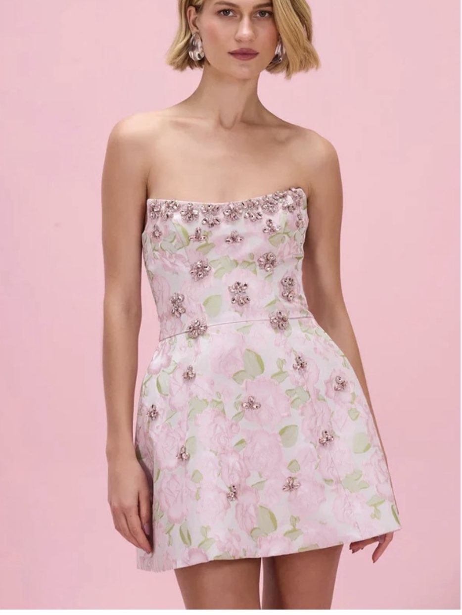 Mini rose embellished dress