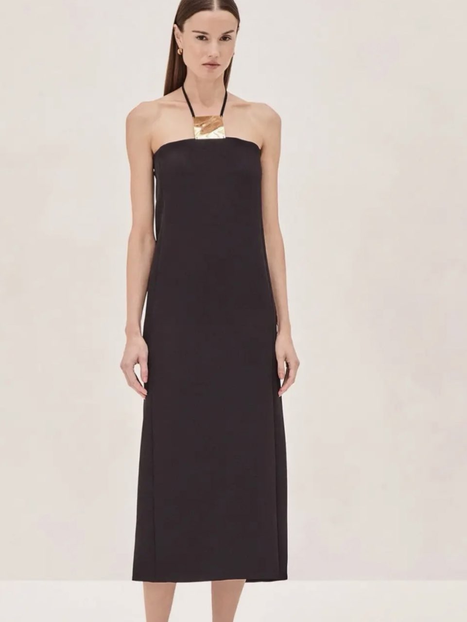 Alexis Sezane Dress