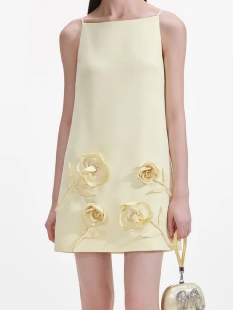 Pale Yellow Mini Dress with 3D Floral Appliques