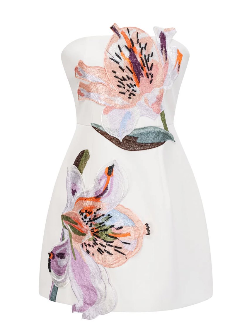 Aje Mimosa Strapless Embroidered Mini Dress