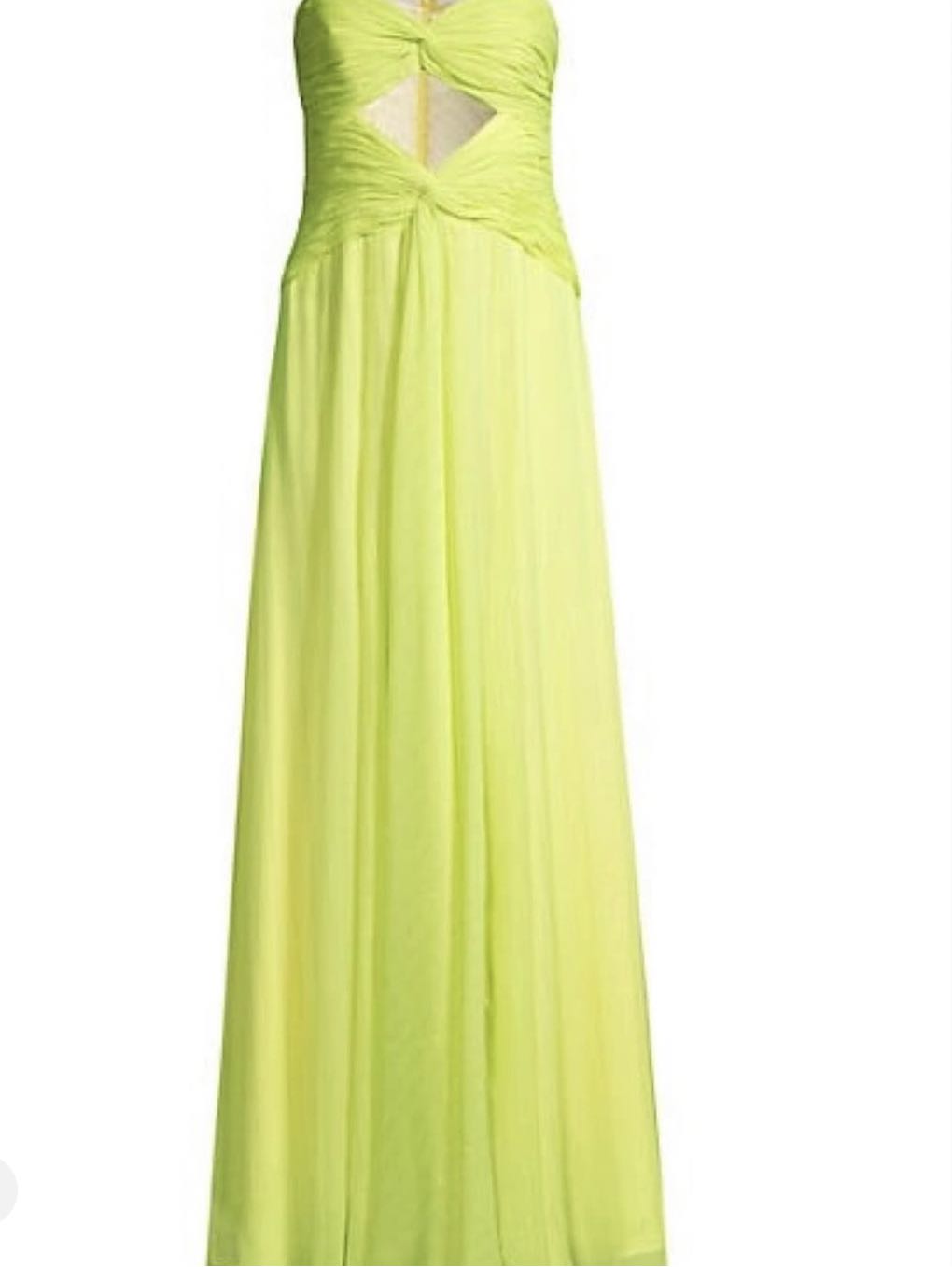 Renting this super cute dress